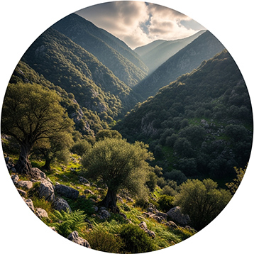 Μυθολογικοί Τόποι Καλυδώνα